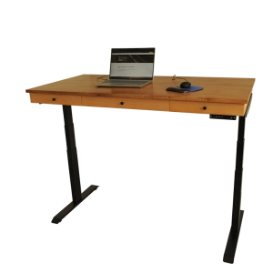 The Arthur's sit-stand desk