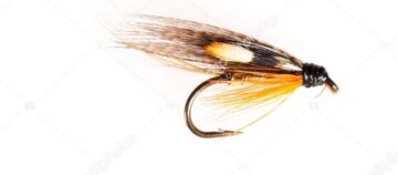 auboi Mouche de pêche en plume