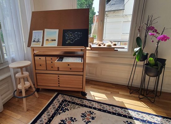 Atelier peinture orchidée pastel Vichy