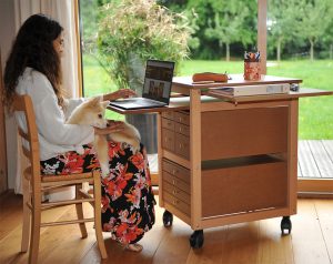 Le Petit bureau avec tiroirs avec Saiga pomsky